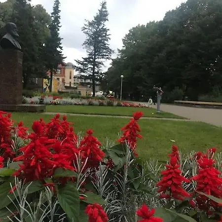 Tammsaare Close To Korter Parnu