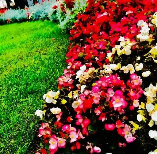 Tammsaare Close To Lejlighed Pärnu