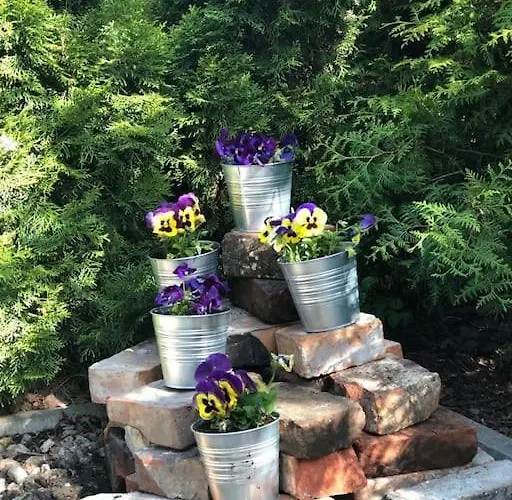 Tammsaare Close To Lejlighed