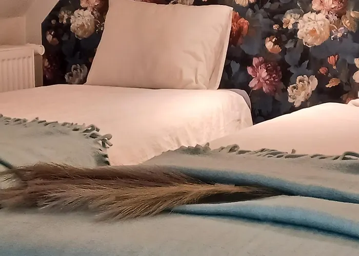 Tammsaare Close To Pärnu